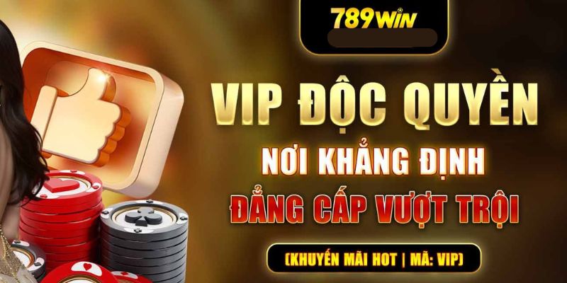 Khái quát các nội dung thông tin cơ bản về khuyến mãi vip